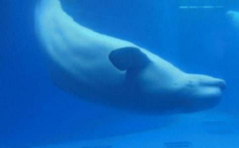 С�����c���L�~(y��)��ͯԒ(hu��)����