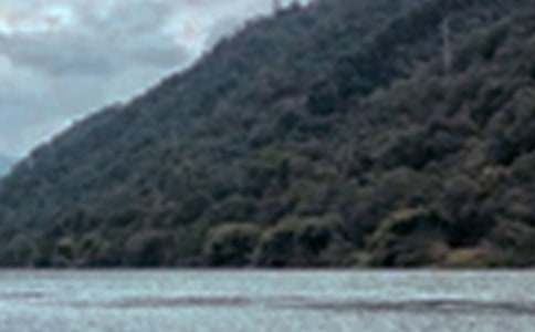 �茑(xi��)���ɫ��100�����ģ�ͨ��25ƪ��