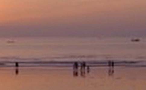 ���L(f��ng)�ľ�ɫ����