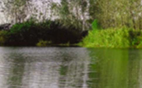 ��(xi��)��ɫ��������