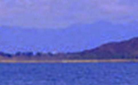 ��(xi��)�L(ch��ng)�Ǿ�ɫ������