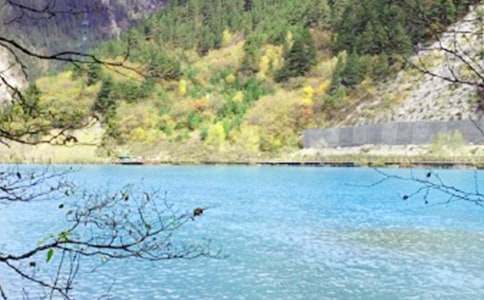 冬天九寨溝作文600字(精選15篇)