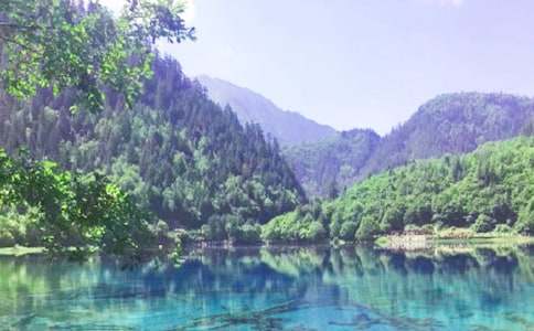 美麗的九寨溝作文900字