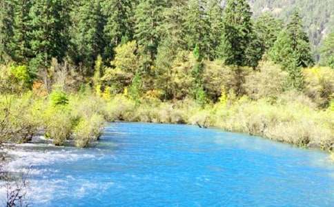 �����ľ�կ������600��-��(xi��)������