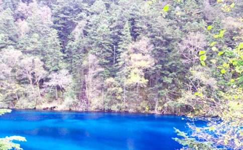 ͯԒ(hu��)�����կ������(3ƪ)