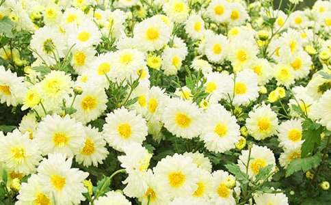 ������g(sh��)���(d��ng)�������ľջ����̰�