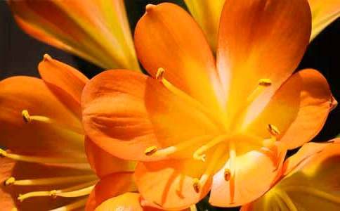 �����m���^(gu��n)�����ģ����x10ƪ��