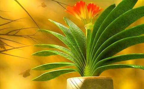 ��������������m����