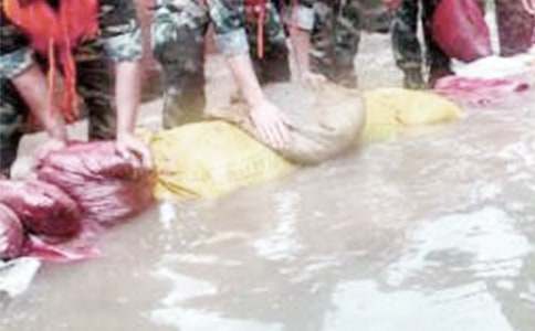 ���铌�U-��������650��