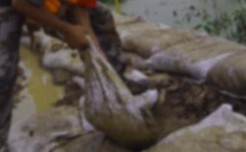 ���铌�U���塾�\��7ƪ��