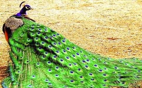 С�����g(sh��)�������Ŀ�ȸ���̰������x12ƪ��