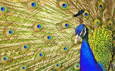 ��ȸ�~(y��)