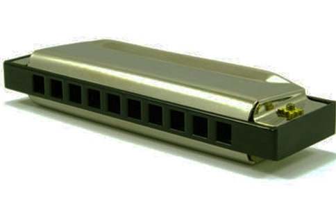 吹口琴小學(xué)作文