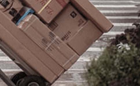 烏龜快遞公司童話(huà)作文