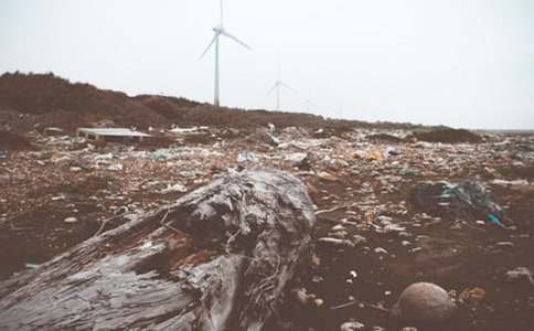 會(huì )吃垃圾的魚(yú)_小學(xué)想象作文