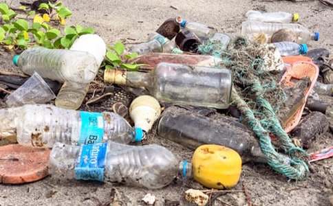 ���ƌW(xu��)��(y��u)�|(zh��)�n�̰����̌W(xu��)��˼������ȥ�����