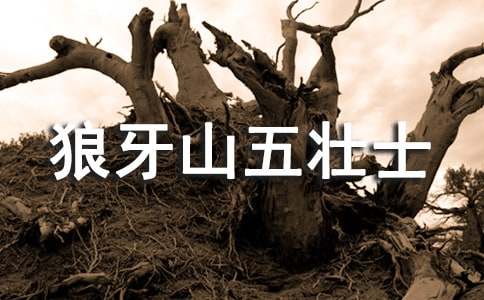 �^(gu��n)������ɽ���ʿ���иУ�ͨ��28ƪ��