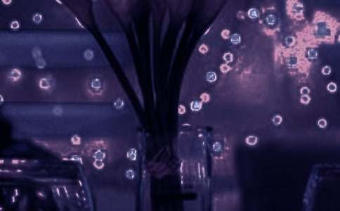 ���������ѩ֮��������600��