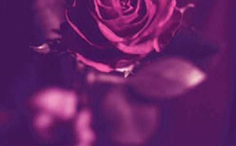 ��׵��������ӣ����x70�䣩