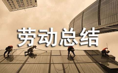 社會(huì )實(shí)踐活動(dòng)勞動(dòng)總結(通用25篇)