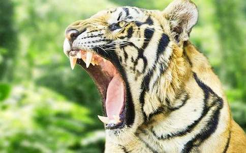 С�ϻ����̰�