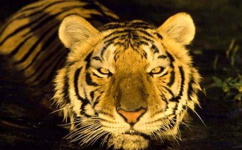 ���L(f��ng)���ϻ�����