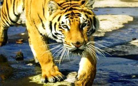 С�W(xu��)�ϻ�ͯԒ(hu��)���ģ�ͨ��47ƪ��