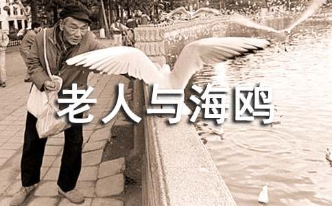 語(yǔ)文版五年級語(yǔ)文下冊《老人與海鷗》課文