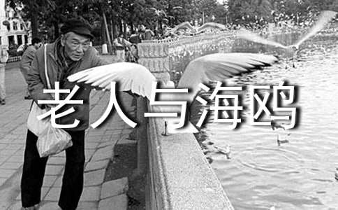 �������c���t�����½̌W(xu��)�OӋ