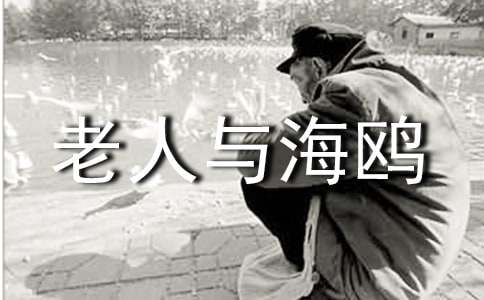 讀《老人與海鷗》閱讀心得體會(huì )