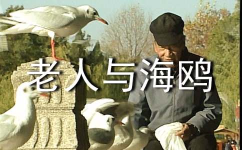 �������c���t���x���