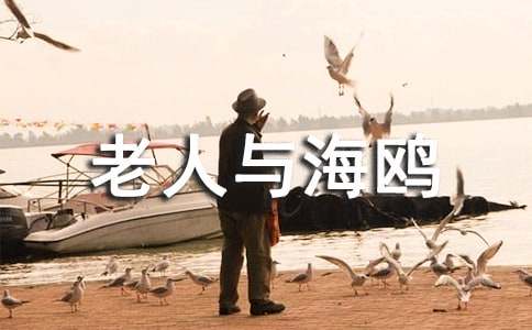 語(yǔ)文教學(xué)設計精選模板:老人與海鷗
