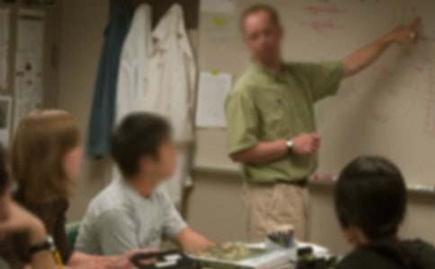 �o�ώ�һ����