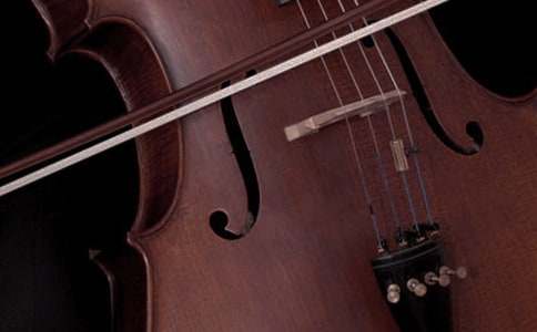 ��(l�� )�������������