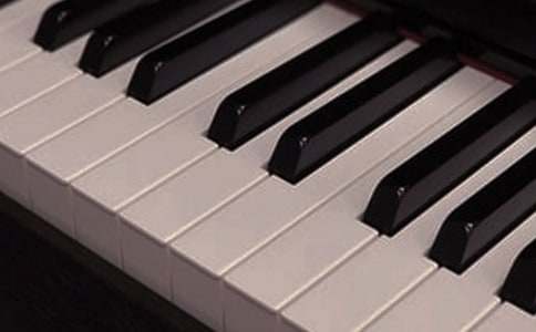 我的拿手好戲是樂(lè )器作文