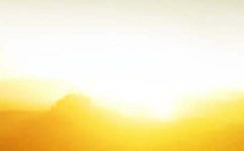 �@��������o���ĳ������ģ�ͨ��24ƪ��