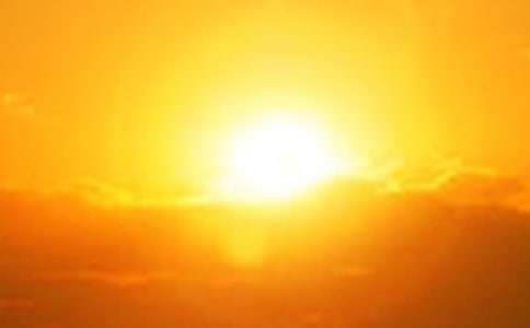 �z����������������