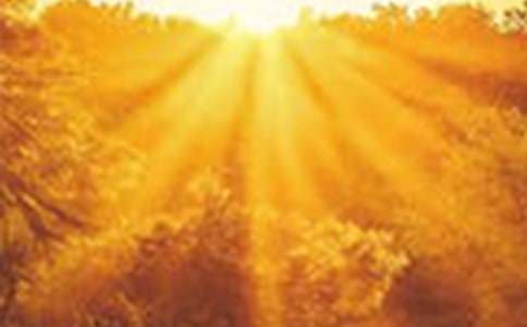 我眼中的《黎明之前》和《潛伏》作文