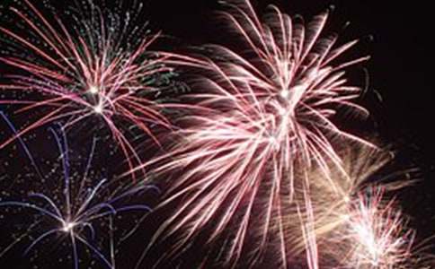 ���ŶY������