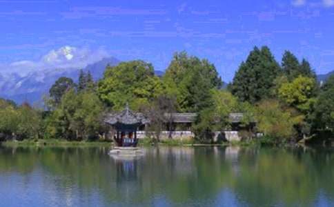 �����x����������500����ƪ