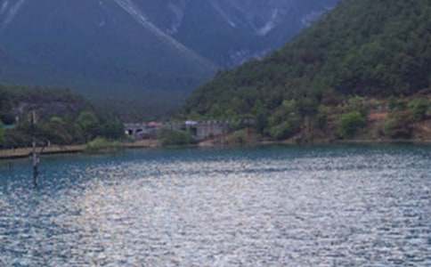 ��������������600�֣�ͨ��88ƪ��