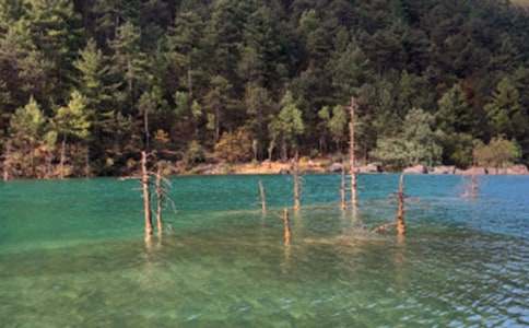 ��������������