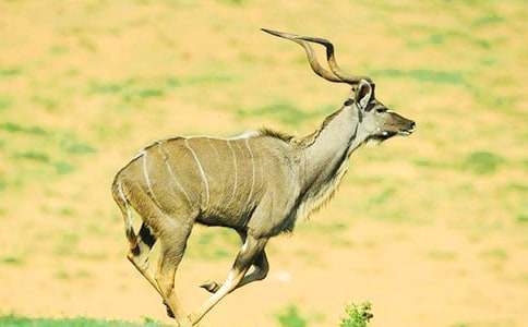 �m��(xi��)������ľ�񡷃�(y��u)������