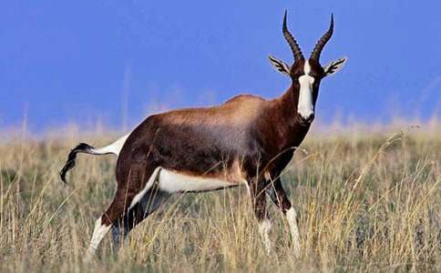 ���꼉������ľ�񡷾��x�̌W(xu��)�OӋ