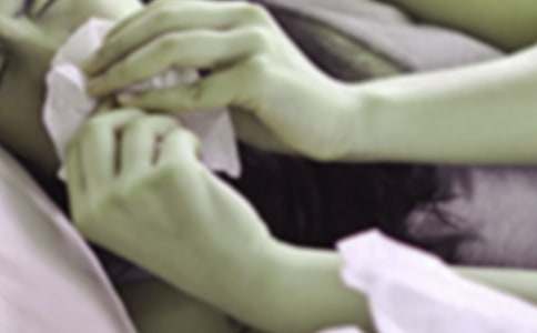 ʹ������Д������ģ�ͨ��24ƪ��