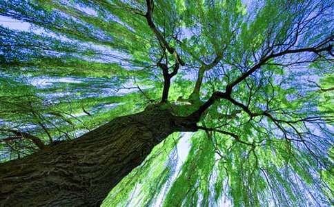 ����(sh��)���˽̰�