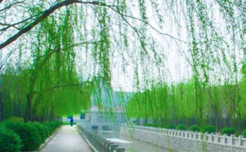 һ�꼉�ԡ�����(sh��)���ˡ��ă�(y��u)��̰�