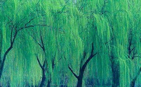 С��̰������������(sh��)