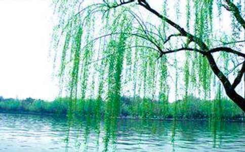 ����(sh��)������̰�