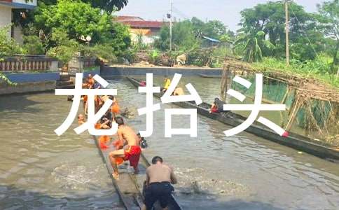 龍抬頭的習俗作文800字